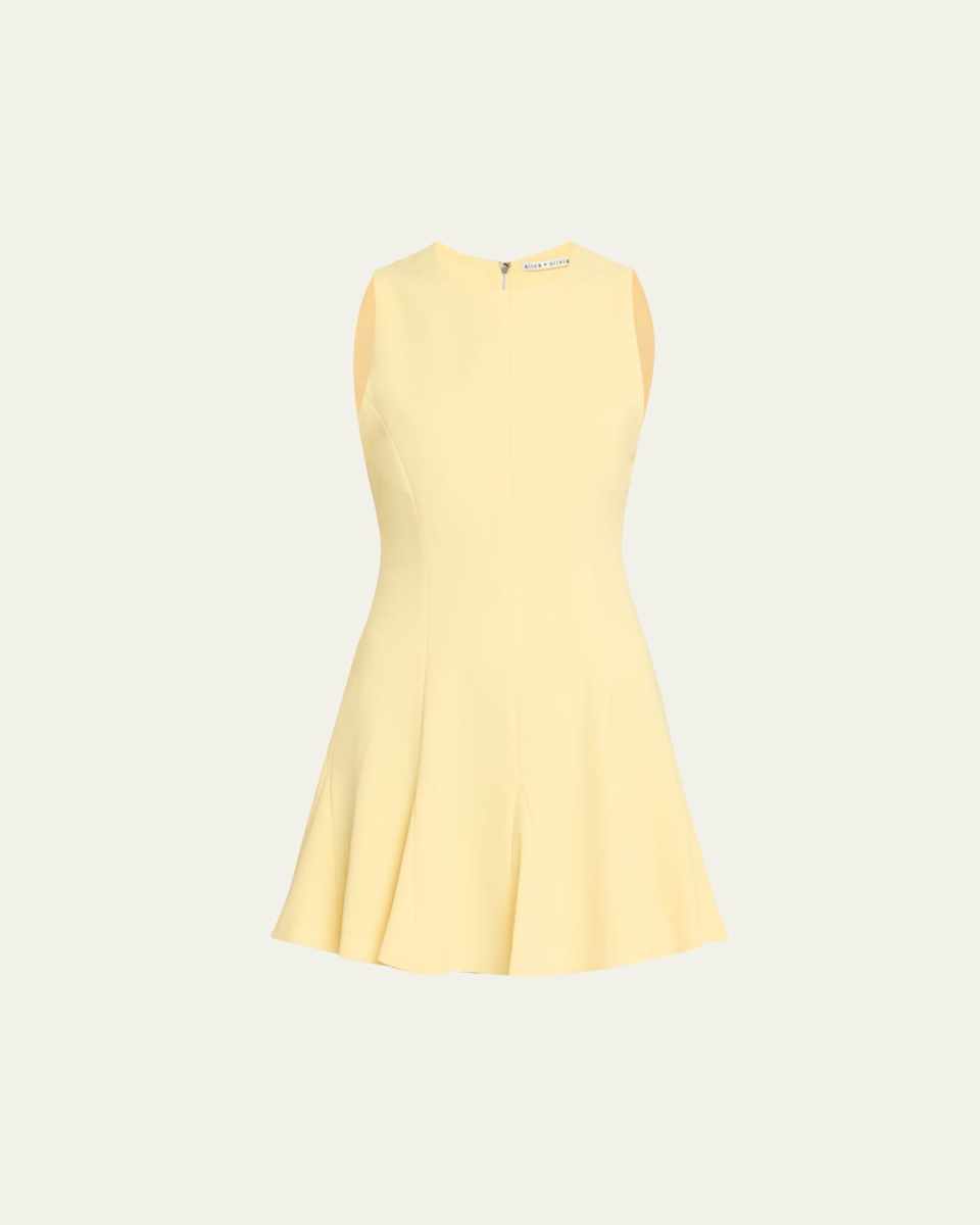 Isabelle Crewneck Sleeveless Seamed Flare Mini Dress